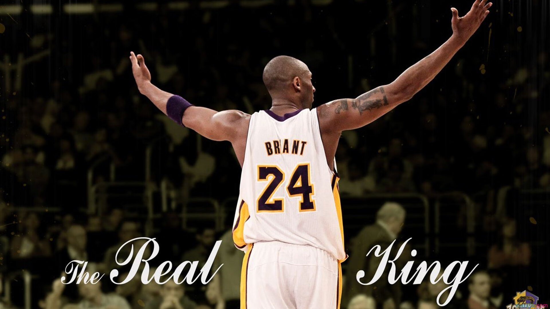 NBA球队季后赛关键战术部署，nba季后赛比赛机制